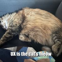 UX Cat